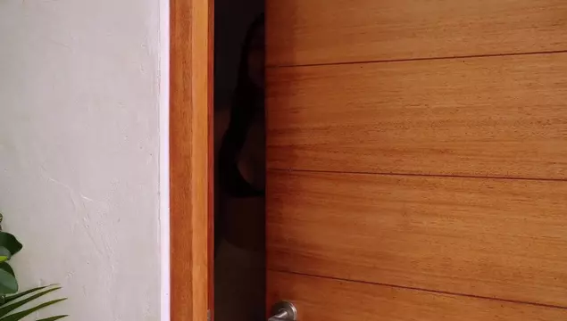 Я выебал красивую хозяйку, когда она мне показывала дом