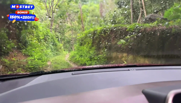 Рыжеволосая девушка потерялась и заплатила минетом незнакомцу